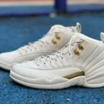 Air Jordan 12 "Phantom" FD9101-007