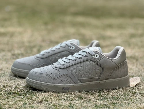 DIOR B27 Low Top Grey Beige Sneakers