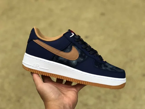 Nike Air Force 1 '07 LV8 Blue Brown Hook Low DD1259-400