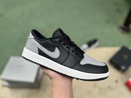 Air Jordan 1 Golf Shadow DD9315-001