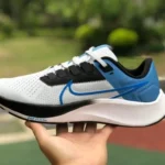 Nike Air Zoom Pegasus 38 White Blue Running Shoes CW7356-009