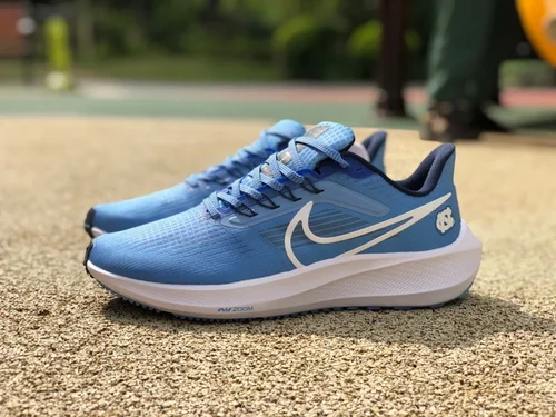 Nike Air Zoom Pegasus 39 White Blue Running Shoes DR1967-400