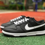 Nike Dunk Low Retro Black White Retro Sneakers DJ6188-002