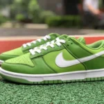 Nike Dunk Low Retro Forest Green Retro Sneakers DJ6188-300