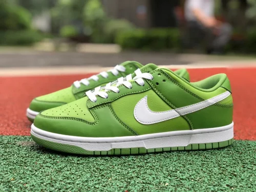 Nike Dunk Low Retro Forest Green Retro Sneakers DJ6188-300