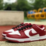 Nike Dunk Low Gym Red White Red DD1391-602