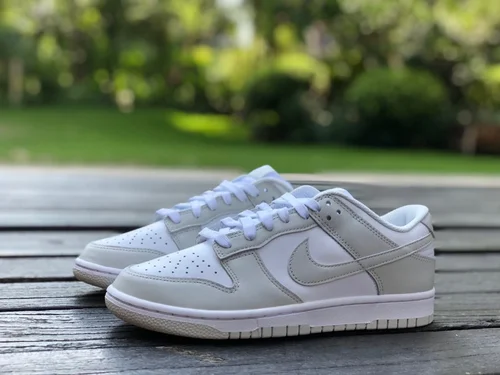 Nike Dunk Low White Grey Smoke Grey DD1503-103