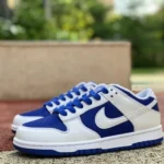 Nike Dunk Low Retro White Blue Racing Blue Retro Sneakers DD1391-401