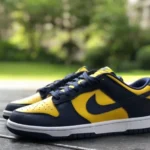 Nike Dunk Low Michigan Blue Yellow Retro Sneakers DD1391-700