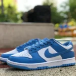 Nike Dunk Low Retro University Blue DD1391-102