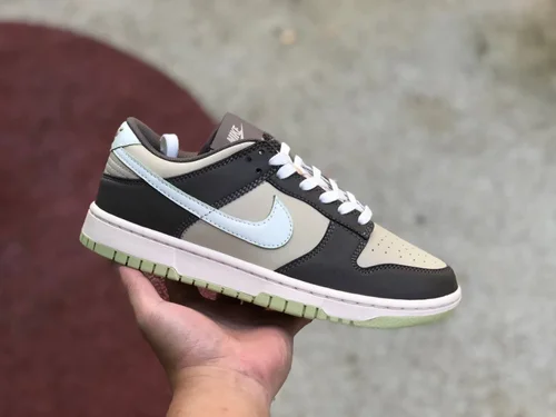 Nike Dunk Low Retro FB4960-210