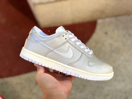 Nike Dunk Low Silver White Limited DX3197-095