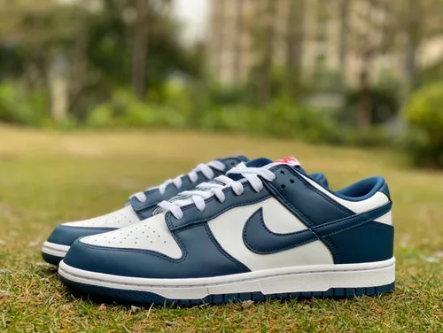 Nike Dunk Low Retro White Navy Casual Sneakers DD1391-400