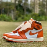 Air Jordan 1 High DO9369-101 Starfish