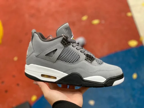 Air Jordan 4 Cool Grey 308497-007