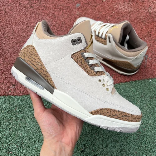 Air Jordan 3 Palomino CT8532-102 Grey Brown