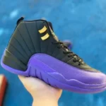 Air Jordan 12 Black Purple CT8013