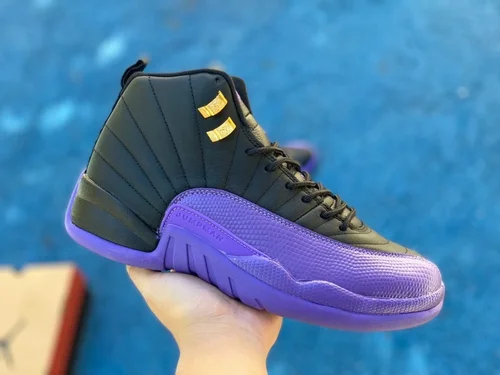 Air Jordan 12 Black Purple CT8013