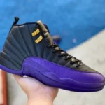 Air Jordan 12 Black Purple CT8013