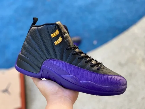 Air Jordan 12 Black Purple CT8013