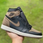 Air Jordan 1 High DZ5485-020 Palomino Brown Retro