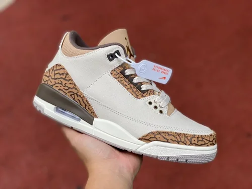 Air Jordan 3 Palomino CT8532-102 White Brown