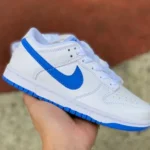 Nike Dunk Low GS Kids Blue DH9756105