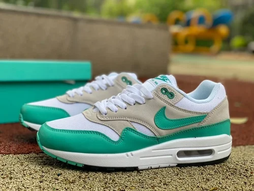 Nike Air Max 1 Fresh Green Men's Running Shoes DZ4549-001