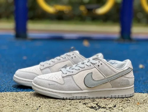 Nike Dunk x The North Face Grey Low-Top Sneakers DQ1098-338