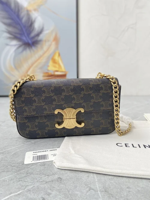 11 Celine Triomphe Small Shoulder Bag Women Luxury Canvas