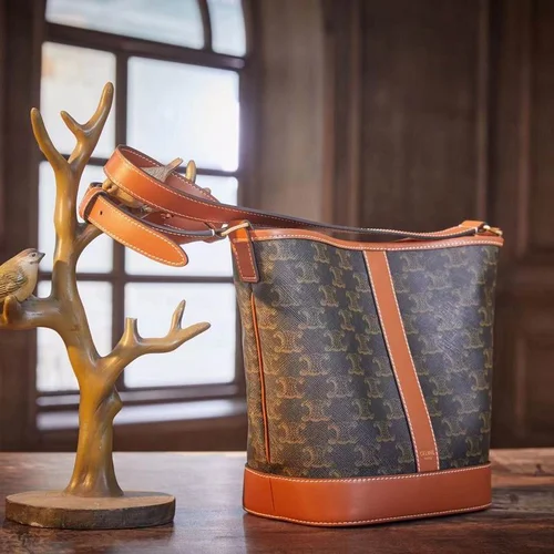 Celine Original Bucket Bag Authentic Triomphe Canvas Luxury