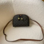 11 Celine Shell Camera Bag Small Women Luxury Leather Designer