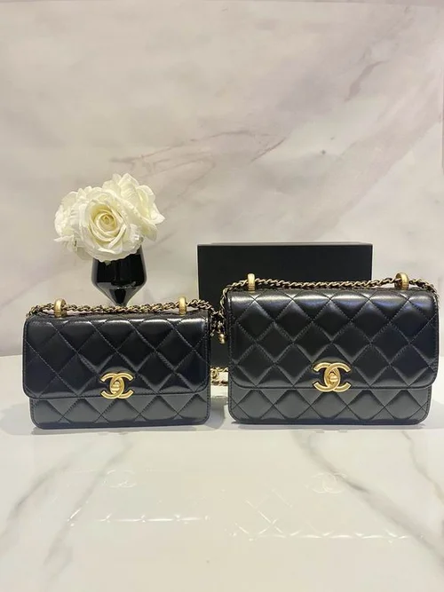 11 Chanel Wallet On Chain WOC Women Luxury Caviar Leather