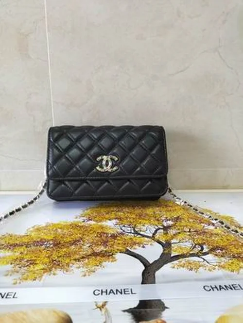 11 Chanel Wallet On Chain WOC Women Luxury Caviar Leather