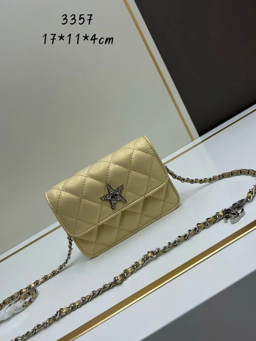 11 Chanel Wallet On Chain WOC Women Luxury Caviar Leather