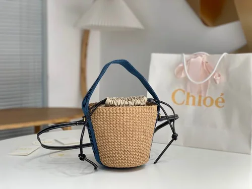 Chloe Small Woody Tote Bag Original Authentic Canvas Luxury