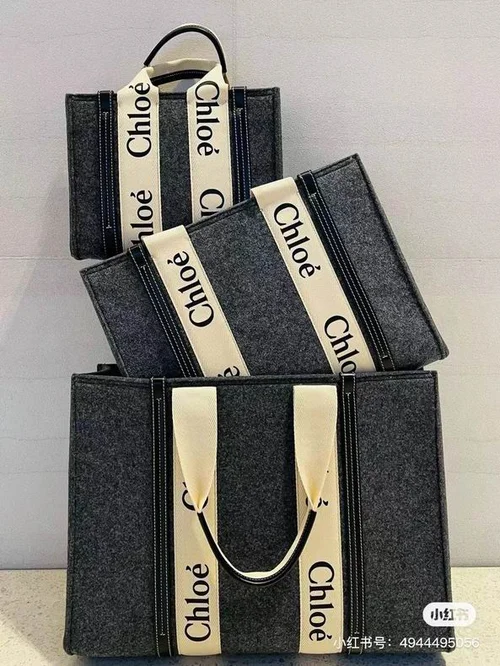 Chloe Woody Medium Tote Bag Original Authentic Canvas Luxury