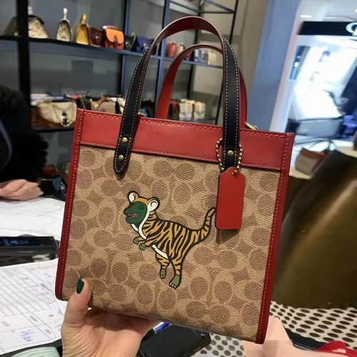 11 Coach Large Tote Bag Women Luxury Canvas Leather Designer