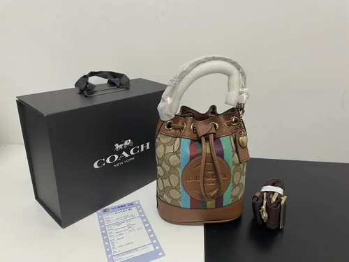 11 Coach Bucket Bag Small Drawstring Women Luxury Leather