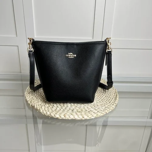 11 Coach Bucket Bag Small Drawstring Women Luxury Leather