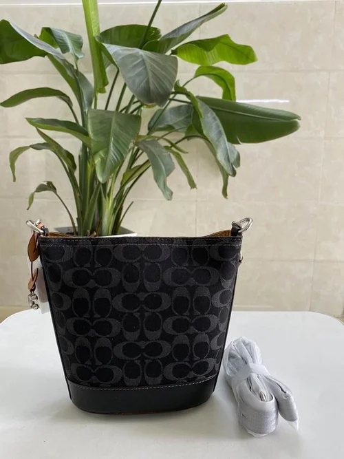 11 Coach Bucket Bag Small Drawstring Women Luxury Leather