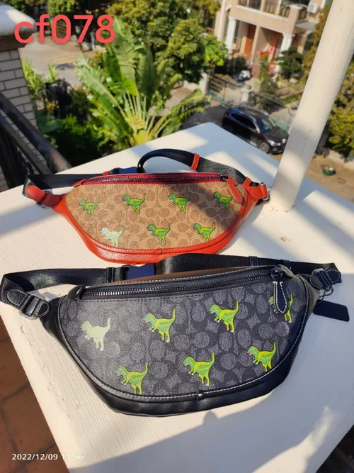 11 Coach Pocket Chest Bag Men Women Luxury Designer Belt Bag