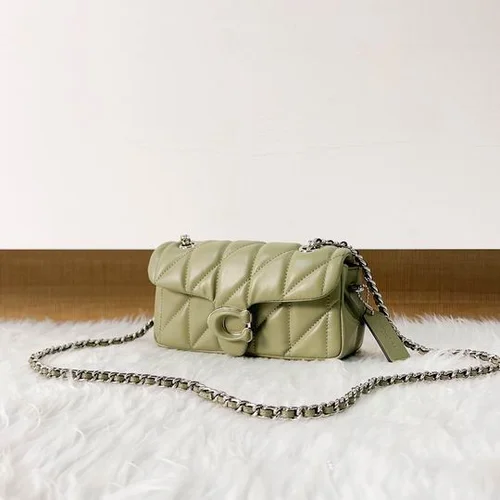 11 Coach Tabby Dionysus Shoulder Bag Women Luxury Designer