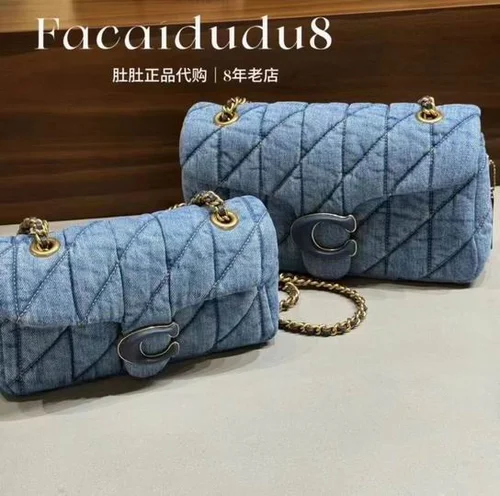 11 Coach Tabby Dionysus Shoulder Bag Women Luxury Designer