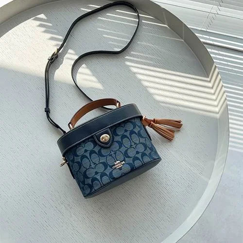 11 Coach Makeup Cosmetic Pouch Bag Women Luxury Vanity