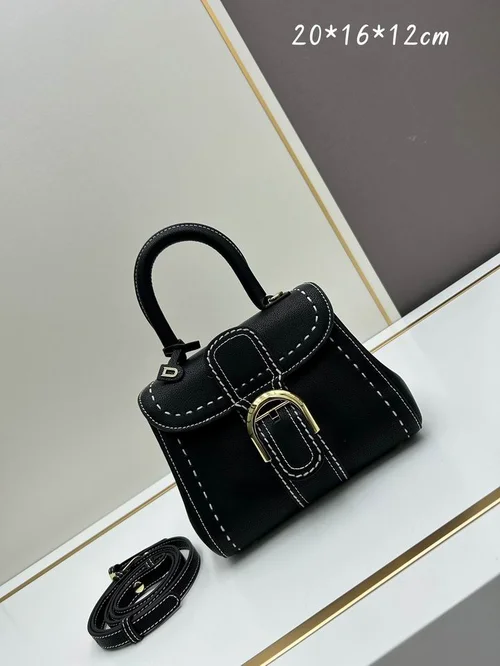 11 Delvaux Brillant PM Mini Top Handle Bag Women Luxury Leather