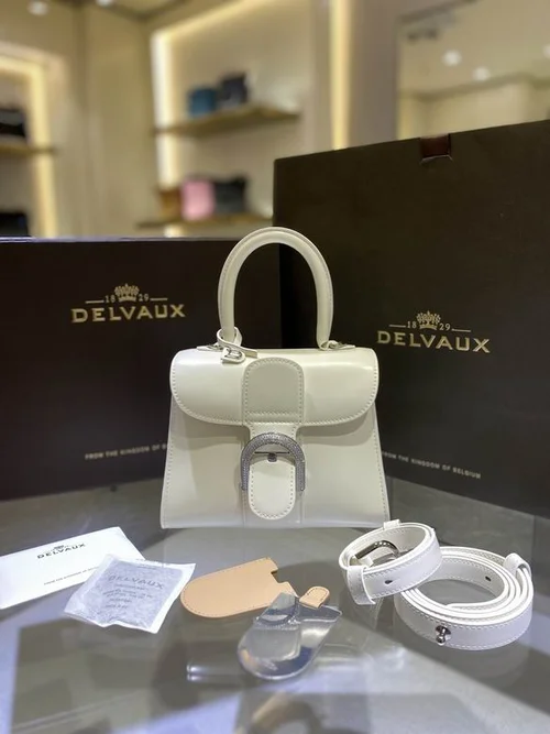 Delvaux Brillant MM Original Medium Authentic Luxury Handbag