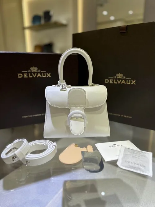 Delvaux Brillant MM Original Medium Authentic Luxury Handbag