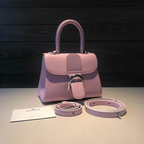 Delvaux Brillant MM Original Medium Authentic Luxury Handbag