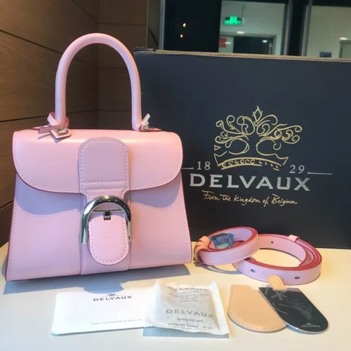Delvaux Brillant MM Original Medium Authentic Luxury Handbag